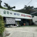 숲속에 바다 이미지