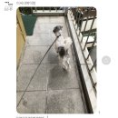 이씨네복덕방 이미지