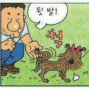 아지 이미지