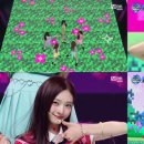 힛지스 카카오 검색결과