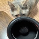 데뷰노래방 이미지