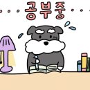 더씨엠 이미지