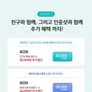 에스테티아세종소담 이미지