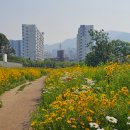 희망공원 게이트볼장 이미지