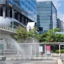 남판교 공인중개사사무소 | 여러 후기를 꼼꼼히 본 당신을 위한 판교부동산 실패 없는 선택법