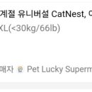 둥지세탁 이미지