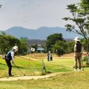 파크골프장1 이미지