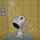 신사동-27 이미지