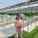 대룡태권도장 이미지