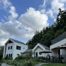 메리도그하우스 이미지