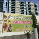 쌍둥이농원 이미지