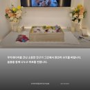 순천 반려동물 장례 전문 &#39;하늘별&#39; - 사랑하는 아이와의 마지막 이별을 존엄하게