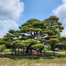 죽장상옥분교 이미지