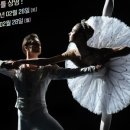 발레포레 이미지