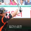 롯데포토 이미지
