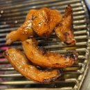 원조꼬리치는돼지 이미지