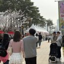 봄사랑약국 네이버블로그