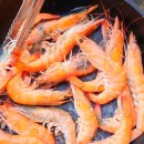 해미노래연습장 이미지