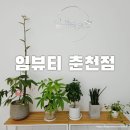 퇴계로146번길 | 춘천 퇴계동속눈썹펌 임뷰티 춘천점 로즈클리닉펌 후기