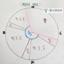 장바오로정신건강의학과의원 | 대구자율신경실조증, 생활습관 시간표 [서부통신경외과] 스네피주사, 자율신경주사, 서부정류장역, 남구...