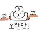 팜테이블영일대점 이미지