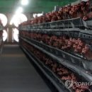 복지농장 이미지