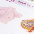 새날인터렉티브 이미지