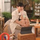 스테이올라 이미지