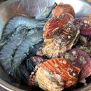 스테이고현 이미지