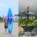 다낭 서핑🌊 일출 패들보트 투어 후기 (feat.멀미여부)
