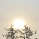 해를 담다 이미지