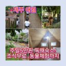 신의목장 | 제주도 통나무파크 숙소 후기｜도치돌 알파카 목장 체험 + 조식 + 주말 2인 5만원[제주 애월 가성비...