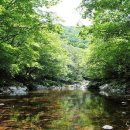 (주)그린아그로텍 | 자연 벌꿀과 공조하는 단양 8경