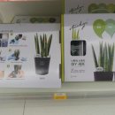 GS25타운점 이미지