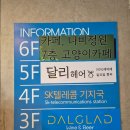부산고양이까페나비정원 이미지