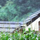 스테이온빈 이미지