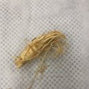 백삼한의원 이미지