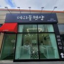 메리몰 펫샵 율하점 이미지
