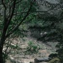 선암서원 주차장 이미지