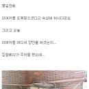 밥풀떼기 이미지