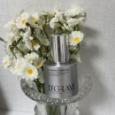 디그램 | 디그램 360 퍼펙트 앰플 솔직후기