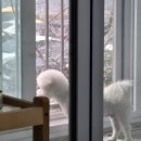 슬기로운 교사생활, 겨울방학이 이렇게 좋은건지 몰랐어..🥹❄️