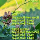 아리랑농원 이미지