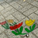 사파동343 이미지