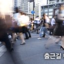 수원-1681 이미지