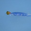 풍산공원 이미지