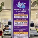 씨유수원숭죽점 | 강원도 평창 국내 겨울 여행지 추천 하이원리조트 워터월드 방문 후기 및 준비물