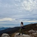 탑산사주차장 | 장흥 천관산 억새, 기암괴석 다 본 후기