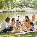 피크닉장 이미지