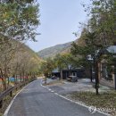 도사곡휴양림야영장 이미지